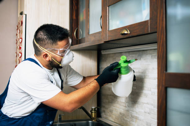 Best Pest Inspection Near Me  in Sauk Vlage, IL