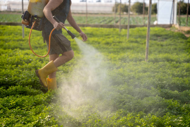 Best Best Pest Control Companies  in Sauk Vlage, IL