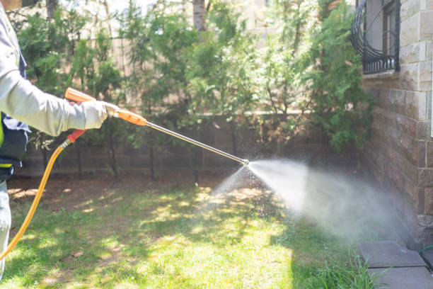 Best Pest Prevention Services  in Sauk Vlage, IL
