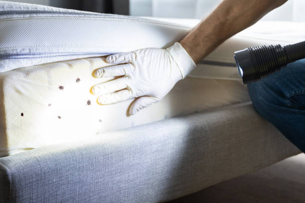 Best Pest Control Treatment  in Sauk Vlage, IL