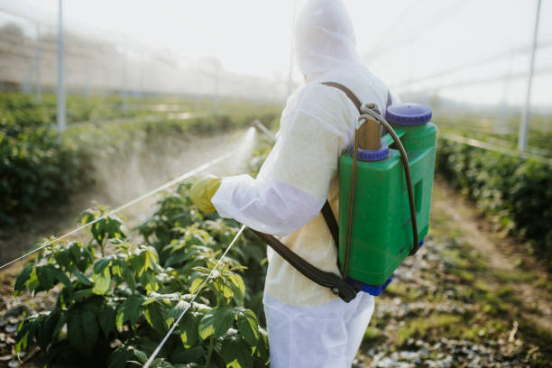 Best Wasp Removal Services  in Sauk Vlage, IL